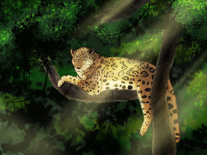 The Leopard - The ArtWorld