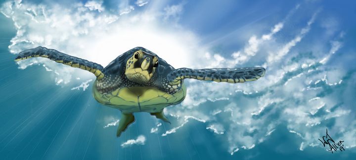 The Turtle Dive - DigitalArt4You