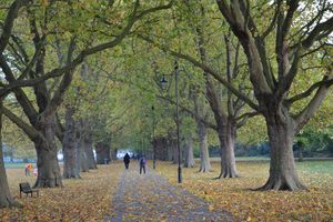Autumn park - Irina Ushakova