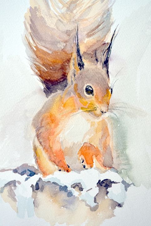 Red Squirrel - Irina Ushakova