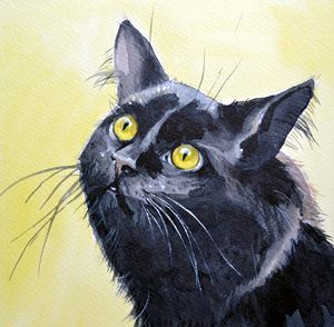 Black cat. - Irina Ushakova