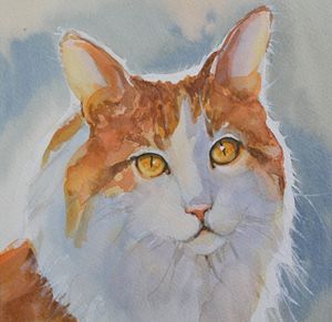 Red and white cat. - Irina Ushakova