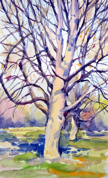 TREES 3 - Irina Ushakova