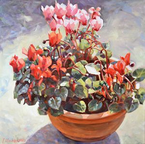 CYCLAMENS