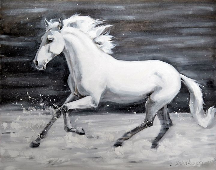 SNOWFLAKE - Irina Ushakova