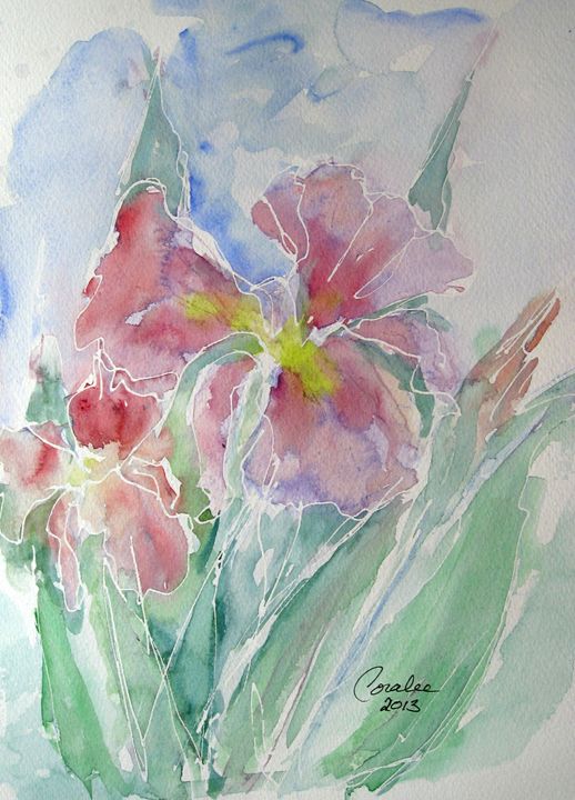 Charming Iris - Art by Coralee