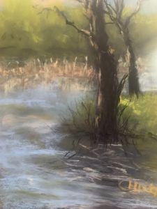 Rushes at Donadea Forest
