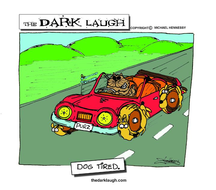 Dog Tired - In Colour - The Dark Laugh