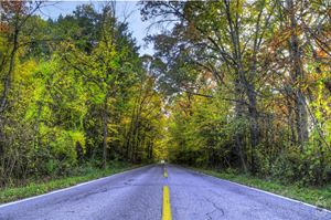 Road to Fall