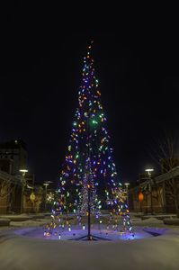 Electric Christmas Tree