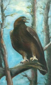 Scottish Golden Eagle - Alexander Taylor Dickie