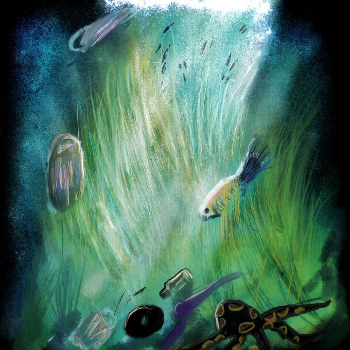 The Ocean - Life and Art