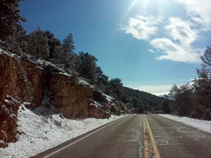 Lonely Road