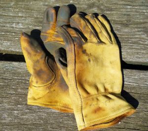 Farm Gloves - Colorlabs