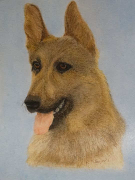 An Alsatian - Rose and Nev - Paintings & Prints, Animals, Birds, & Fish ...