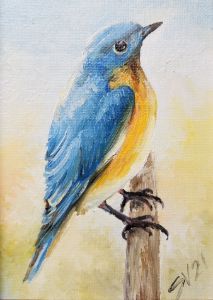 Bluebird original oil painting Backy