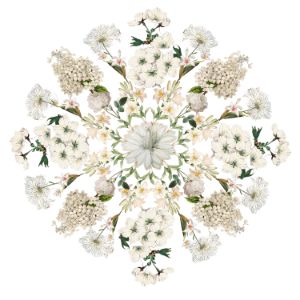 White flower Mandala
