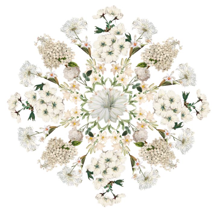 White flower Mandala - Jocelyn Chemel