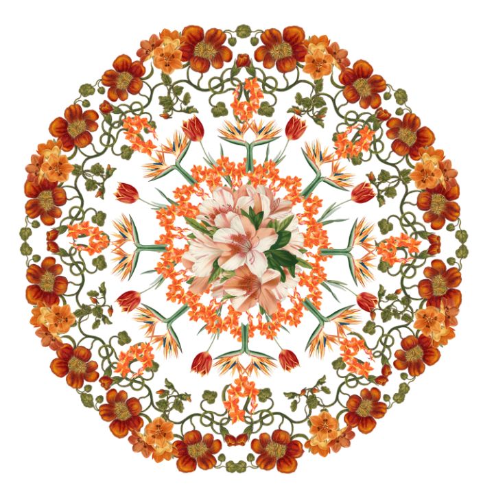 Orange flower mandala - Jocelyn Chemel