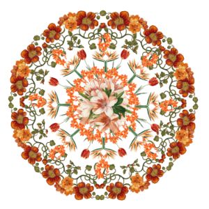 Orange flower mandala