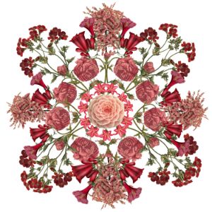 Red Mandala