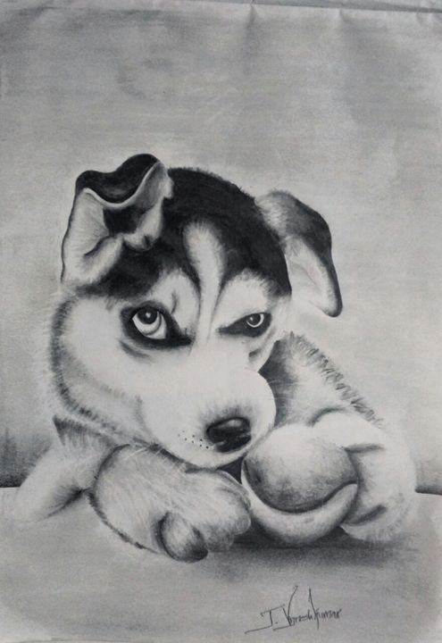 Doggy - My sweet bro art gallery