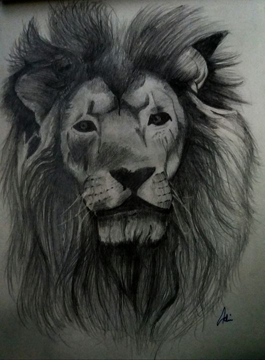 Lion pencil sketch - Farrad - Drawings & Illustration, Animals, Birds, &  Fish, Wild Cats, African Lion - ArtPal