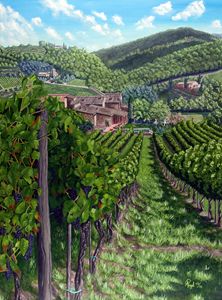 Vineyard In Tuscany