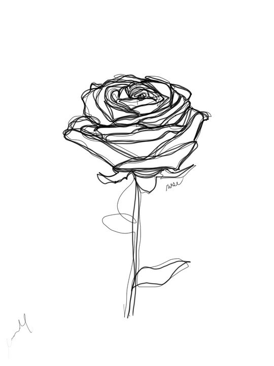 Rose Flowers Line Drawing Artwork Set Graphic by subujayd · Creative Fabrica