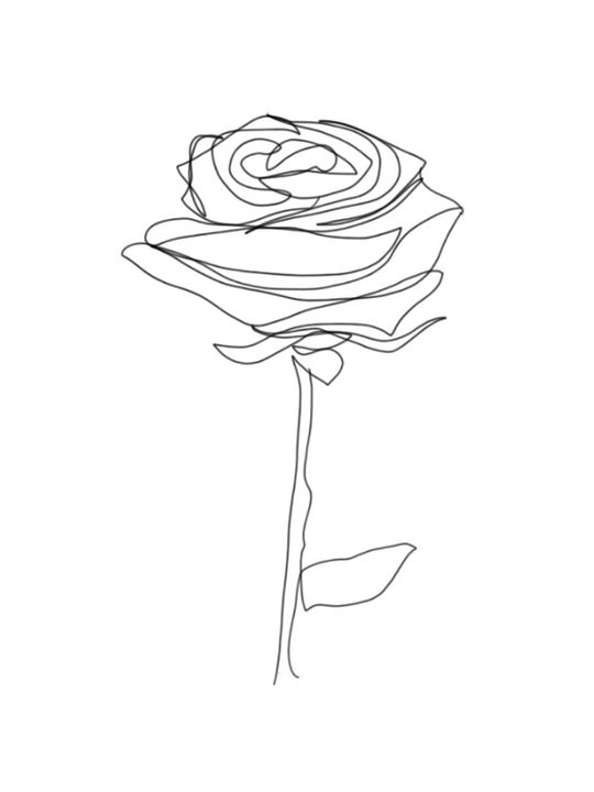 line drawing rose flower