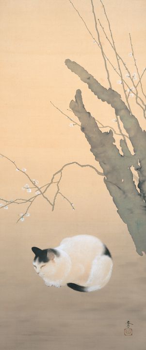 Hishida Shunsō~Cat and Plum Blossoms - Classical art