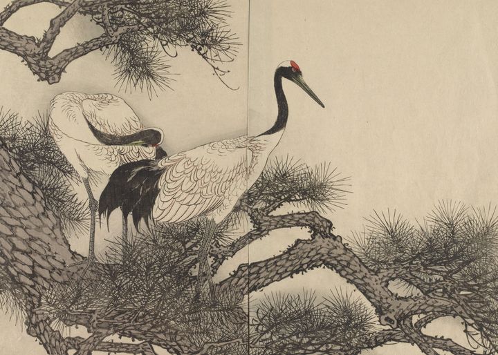 Imao Keinen~Cranes Page From “Keinen - Classical art - Paintings ...