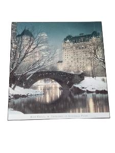Twilight in Central Park - Common People Collectibles
