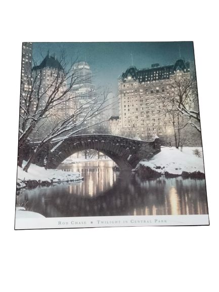 Twilight in Central Park - Common People Collectibles