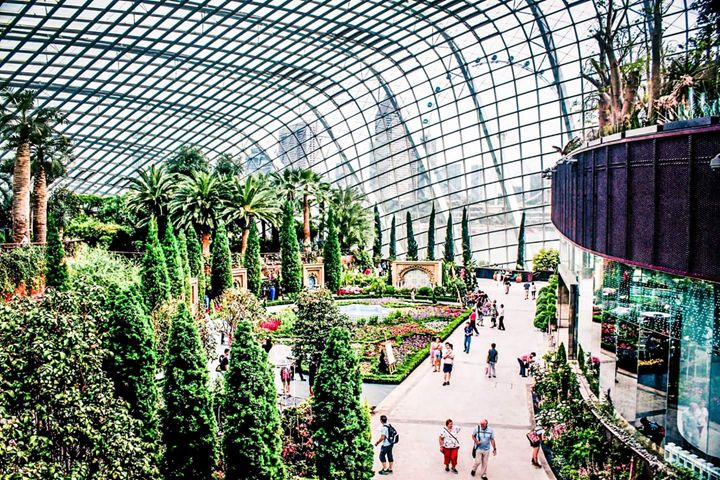 Gardens By The Bay , FG Photography Sydney , Photography