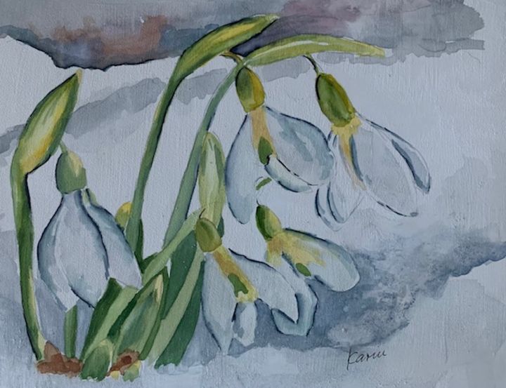 Snow Drops - Karin Minshull Original Watercolor paintings