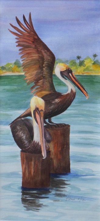 Brown Pelicans Karin Minshull Original Watercolor Paintings