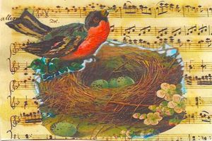 robin in her nest art postcard