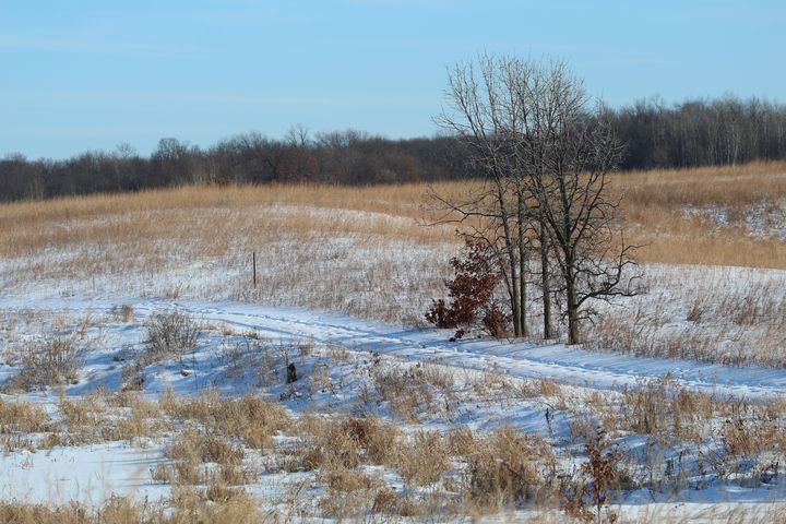 Snowy Prairie - 50m30n3-3153 - Photography, Landscapes & Nature ...