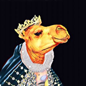 The Camel Queen In History