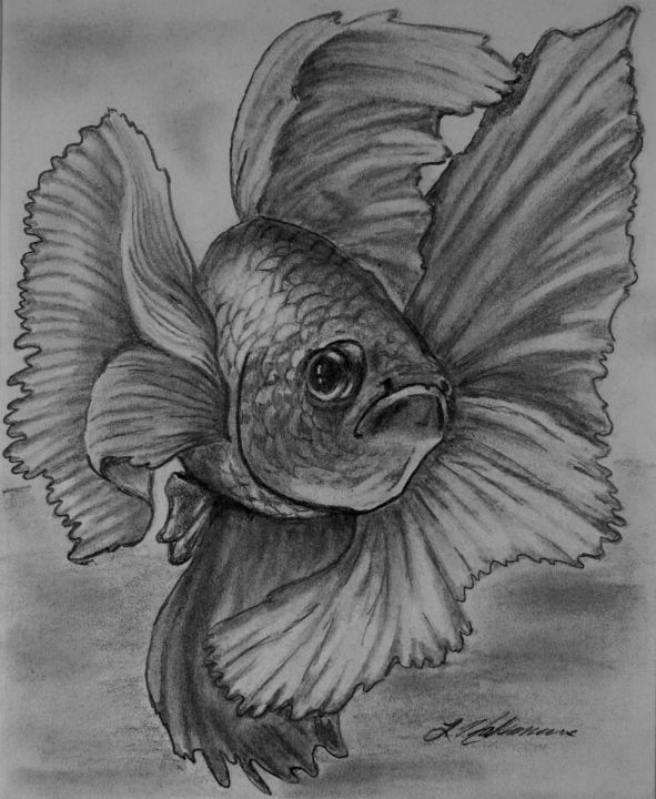 River Belle - Original Charcoal Pencil Drawing of a Siamese/Betta Fighting  Fish Throw Pillow by Rebecca Rees - Fine Art America
