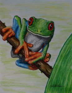 Red-Eyed Tree Frog - Nakamura Art