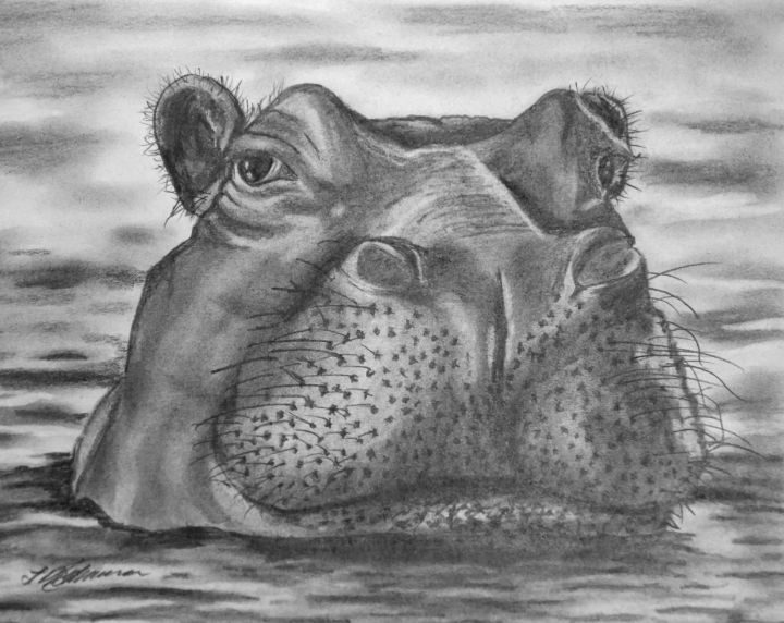 How To Draw Animals  60 Easy Pencil Drawings Of Animals
