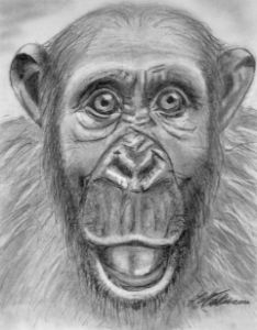 Selfie - Happy Monkey - Nakamura Art