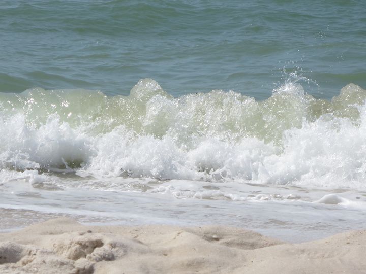 Gulf Coast Waves - Jessica Free