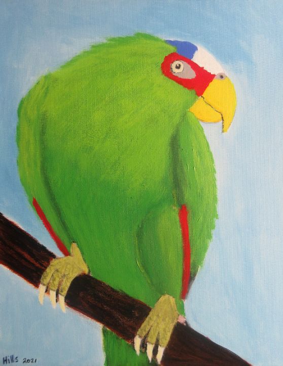 Amazon Parrot - Chris Hills Art