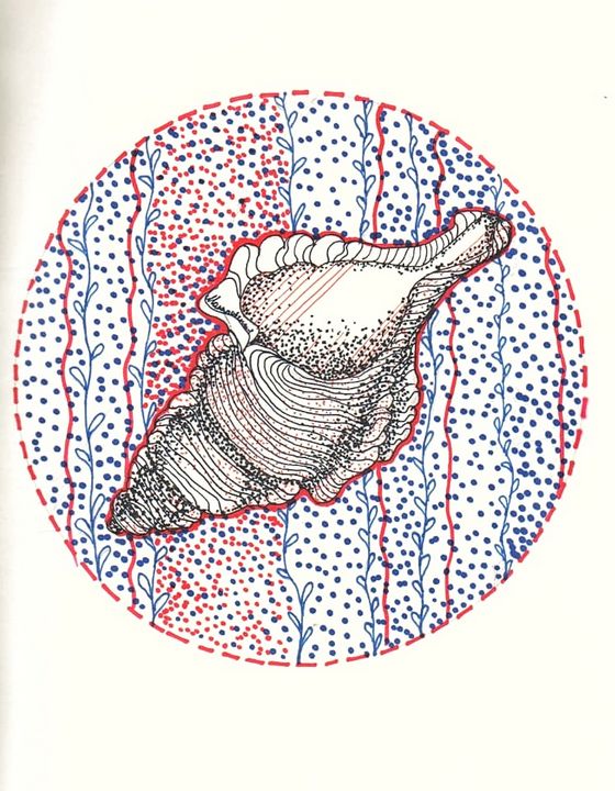 Sea shell - MariaMaria