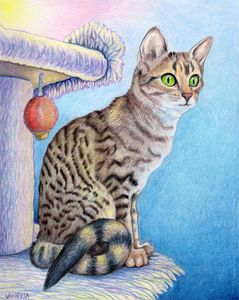 Cat And Butterfly Pencil Art - Deepa paintings - Drawings & Illustration,  Animals, Birds, & Fish, Cats & Kittens, Other Cats & Kittens - ArtPal