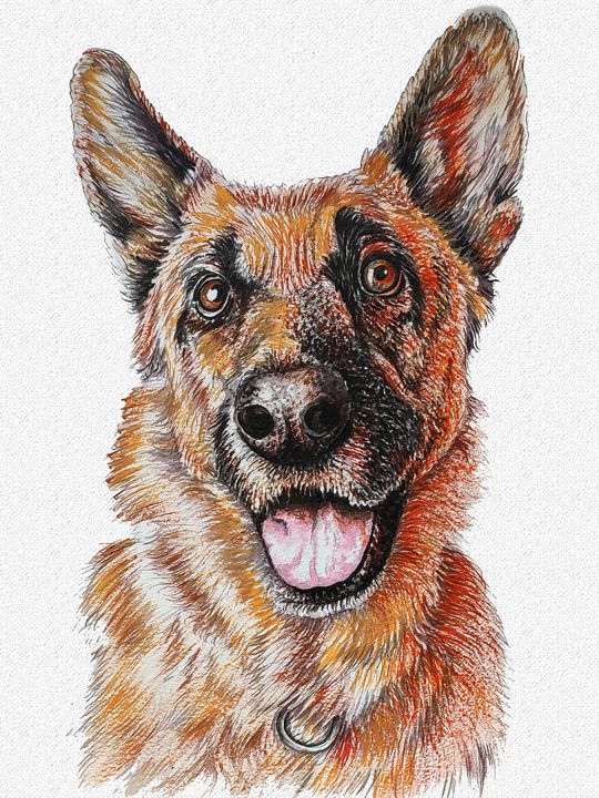 Aries Sign — German shepherd - ASP Arts - Paintings & Prints, Animals ...