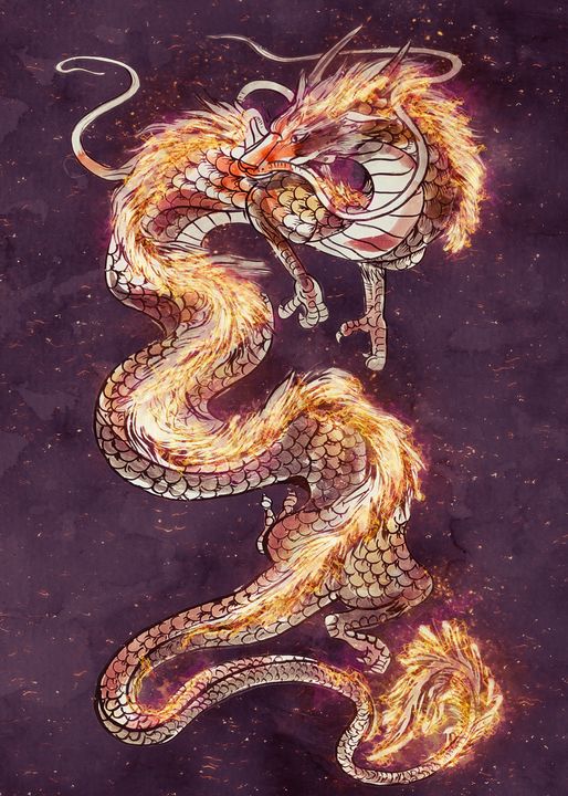 fantasy fire dragons